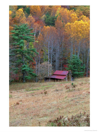 Cabin In Late Autumn In West Virginia by Robert Finken Pricing Limited Edition Print image