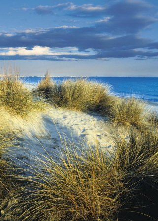 Langu Dunes by Jean-Pierre Lescourret Pricing Limited Edition Print image