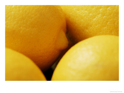 Lemon by Susie Mccaffrey Pricing Limited Edition Print image