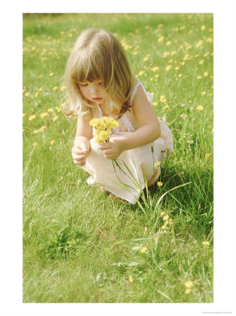Girl Picking Dandelions by Alan Bedding Pricing Limited Edition Print image