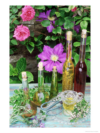Bottles Of Herb Oil & Vinegar, Glass Jug & Saucer, On Painted Wooden Table by Linda Burgess Pricing Limited Edition Print image