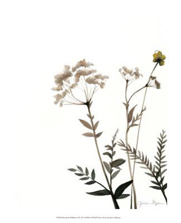 Watermark Wildflowers Ix by Jennifer Goldberger Pricing Limited Edition Print image