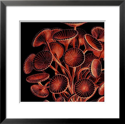 Speichen by Lisa Steinkamp Pricing Limited Edition Print image