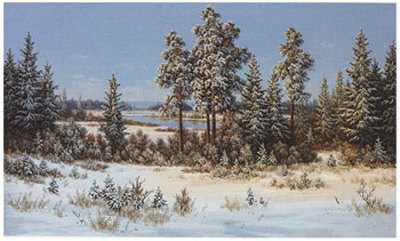 Winter In Belarus by Slava Pricing Limited Edition Print image