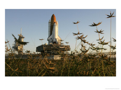 Space Shuttle Discovery At The Kennedy Space Center At Cape Canaveral, Florida, November 9, 2006 by John Raoux Pricing Limited Edition Print image