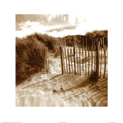 The Dunes by Steven Mitchell Pricing Limited Edition Print image
