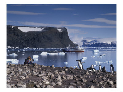 Photographer, Cruise Ship And Adelie Penguins, Antarctica by Howie Garber Pricing Limited Edition Print image