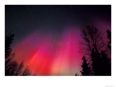 Curtains Of Northern Lights Above Fairbanks, Alaska, Usa by Hugh Rose Pricing Limited Edition Print image