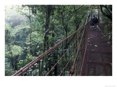 Visitors On Suspension Bridge Through Forest Canopy, Monteverde Cloud Forest, Costa Rica by Scott T. Smith Pricing Limited Edition Print image