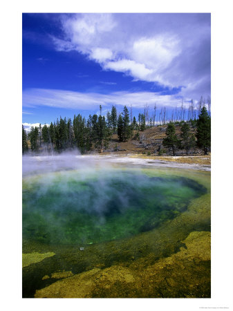 Yellowstone National Park, Wyoming by Walter Bibikow Pricing Limited Edition Print image