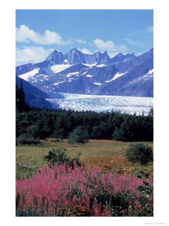 Mendenhall Glacier, Tongass Nf, Ak by Jeff Greenberg Pricing Limited Edition Print image