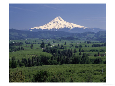 Mt. Hood And Hood River Valley, Oregon by Fogstock Llc Pricing Limited Edition Print image