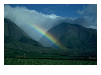 Rainbow Over Sugar Cane Fields, Maui, Hawaii by Mick Roessler Pricing Limited Edition Print image