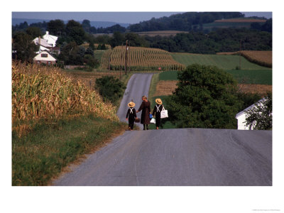 Amish Children, Lancaster County, Pa by Michele Burgess Pricing Limited Edition Print image