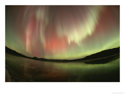 Brilliant Display Of Aurorae Over The Yukon Territory by Paul Nicklen Pricing Limited Edition Print image