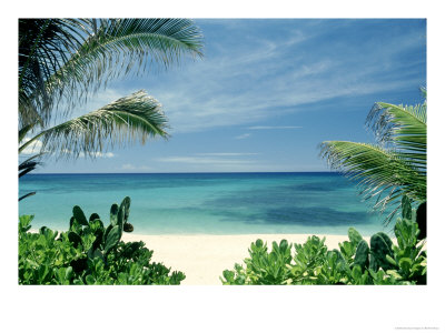 Beach And Palm Trees, Oahu, Hi by Bill Romerhaus Pricing Limited Edition Print image