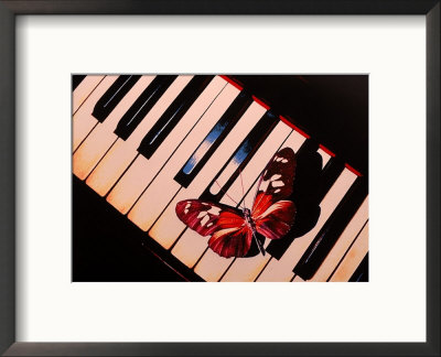 Butterfly On Piano Keyboard by Scott Berner Pricing Limited Edition Print image