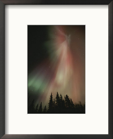 The Aurora Borealis Illuminates The Sky Above Nahanni National Park by Paul Nicklen Pricing Limited Edition Print image