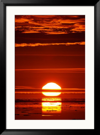 A View Of A Beautiful Arctic Sunset by Paul Nicklen Pricing Limited Edition Print image