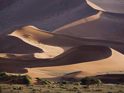 Africa, Namibia, Sossusvlei, Sand Dunes by Fotofeeling Pricing Limited Edition Print image