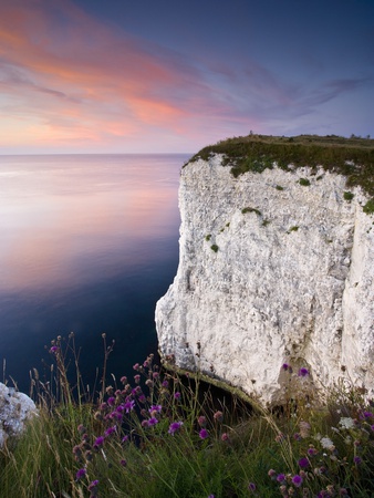 Handfast Point  Studland  Dorset  England  Uk by Mark Bauer Pricing Limited Edition Print image