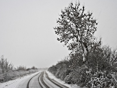 Winding Road Covered In Snow by Dan Brownsword Pricing Limited Edition Print image
