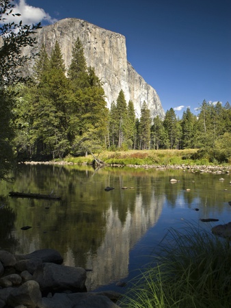 Yosemite National Park, El Capitan Reflection In Merced River, California by Emily Riddell Pricing Limited Edition Print image