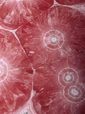 Rhodochrosite (Mnco3), An Ore Of Manganese, Argentina, South America by Ken Lucas Pricing Limited Edition Print image