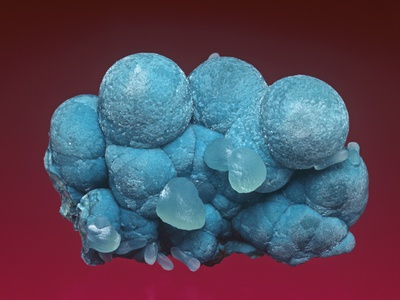 Aurichalcite With Smithsonite, Soccorro County, New Mexico, Usa by Mark Schneider Pricing Limited Edition Print image