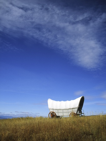 Old Western Wagon In Field by John W. Warden Pricing Limited Edition Print image