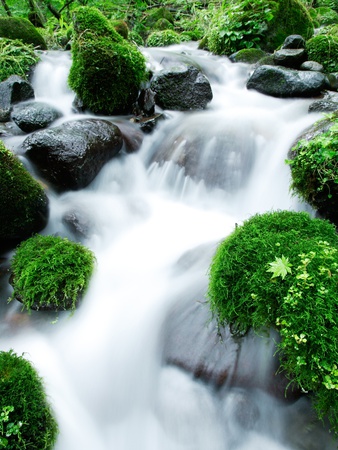 Waterfall by Yukihiro Fukuda Pricing Limited Edition Print image