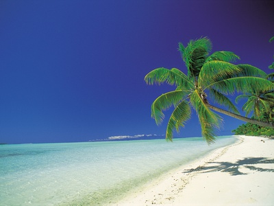 Beach With Palm Trees by Nobukatsu Narita Pricing Limited Edition Print image