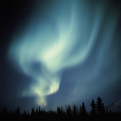 Aurora Borealis In A Forest by Yasuhiro Tanaka Pricing Limited Edition Print image