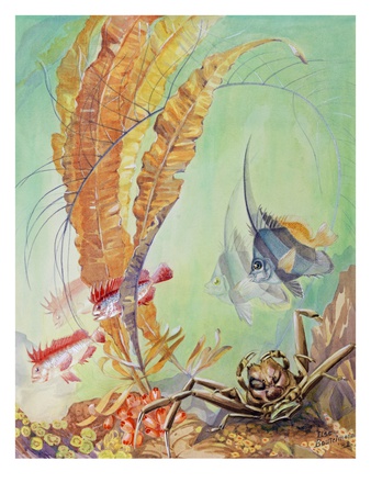 A Painting Of A Japanese Marine Life Scene by Else Bostelmann Pricing Limited Edition Print image
