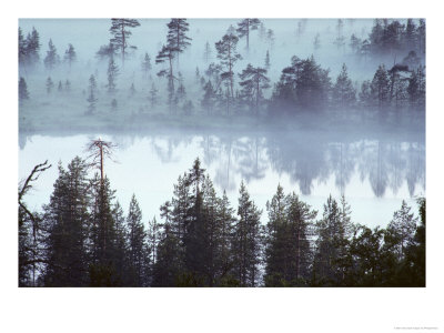 Lake At Dawn In The Mist, Kuusamo Area, Northeast Finland by Philippe Henry Pricing Limited Edition Print image