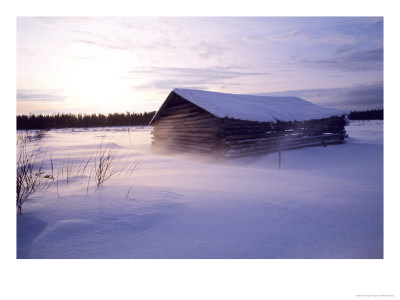 Barn And Snow In The Wind, Northeast Finland by Philippe Henry Pricing Limited Edition Print image