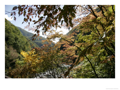 Hase Valley, Japan by Alastair Macewen Pricing Limited Edition Print image