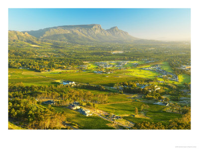 View From Ou Kaapse Weg, Western Cape, South Africa by Roger De La Harpe Pricing Limited Edition Print image