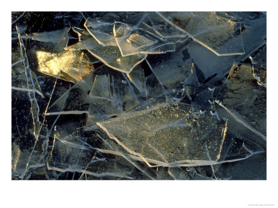 Sheets Of Ice Formed At Edge Of Loch, Close-Up Detail, Hig Hlands, Scotland by Mark Hamblin Pricing Limited Edition Print image