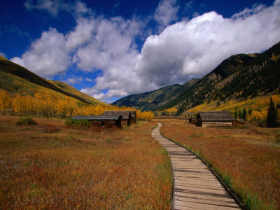 Historic Settlement Of Ashcroft In The Snowmass Wilderness, Snowmass, Colorado, Usa by Greg Gawlowski Pricing Limited Edition Print image