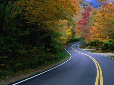 Autumn Maples Lining The Road In Mt. Mansfield State Forest, Stowe, Usa by Mark & Audrey Gibson Pricing Limited Edition Print image