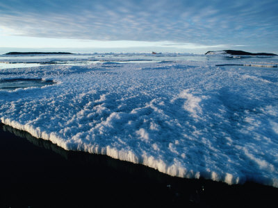 Fast-Ice And Sea-Ice Attached To The Antarctic Continent, Antarctica by Jonathan Chester Pricing Limited Edition Print image