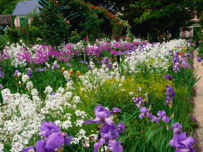 Monet's Flower Garden, Giverny, Haute-Normandy, France by Diana Mayfield Pricing Limited Edition Print image