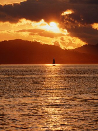 Sailboat Sails Into Sunset, San Francisco, California, Usa by Curtis Martin Pricing Limited Edition Print image