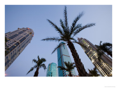 Palm Trees And High Rise Office Towers At Dusk, Shanghai, China by Paul Souders Pricing Limited Edition Print image