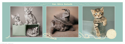 Cute Kitten Kaboodle by Rachael Hale Pricing Limited Edition Print image