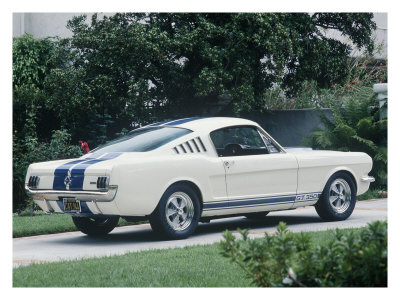 1965 Shelby Gt350 by David Newhardt Pricing Limited Edition Print image