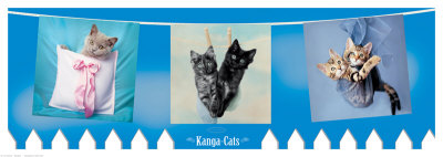 Kanga Cats by Rachael Hale Pricing Limited Edition Print image