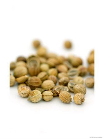 Coriander Seeds, Corindrum Sativum by Geoff Kidd Pricing Limited Edition Print image