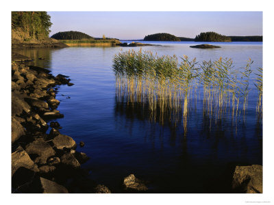 Lake Rushes, South Finland by Heikki Nikki Pricing Limited Edition Print image